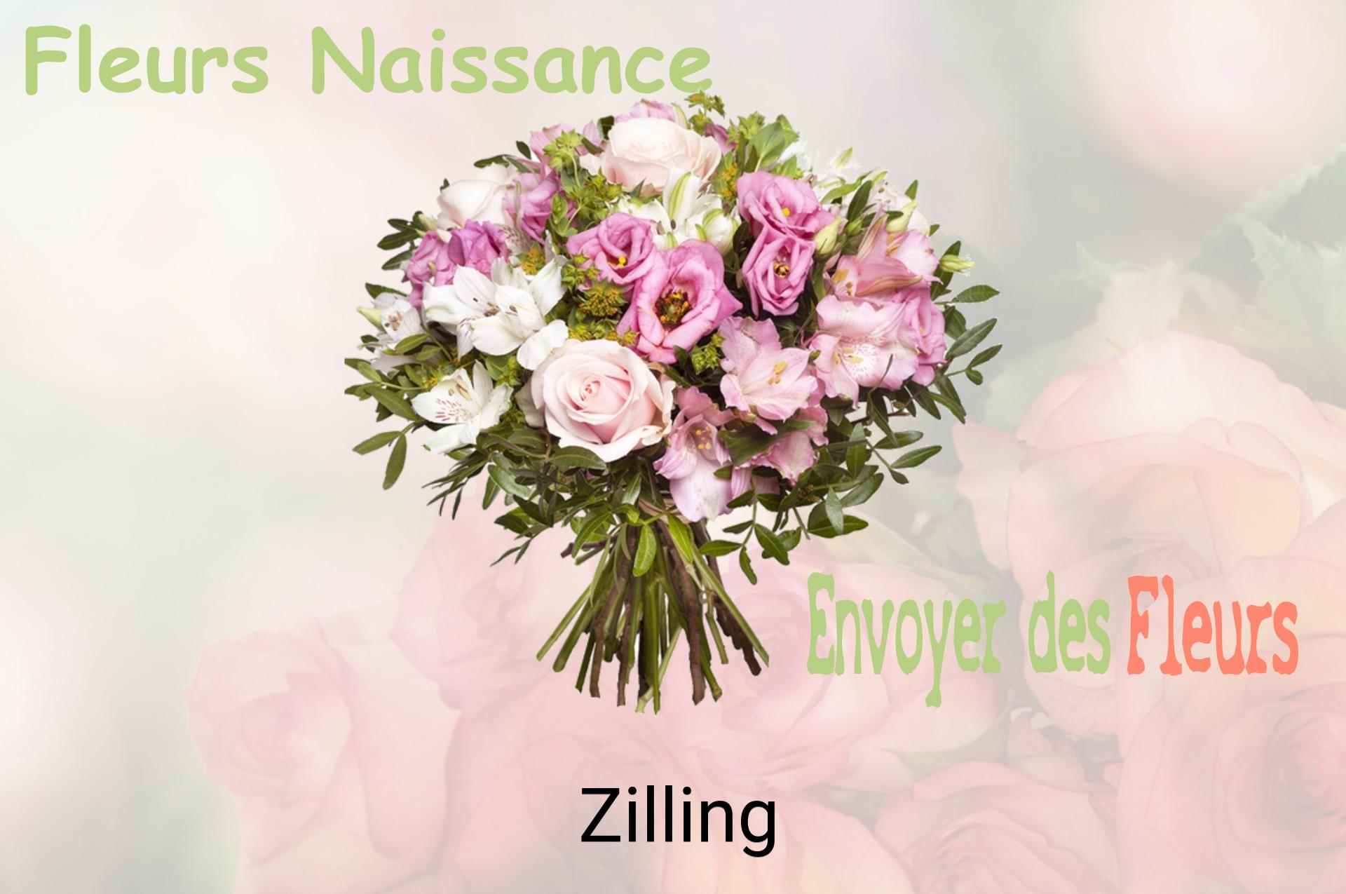 Bouquet de fleurs de naissance livré à Zilling